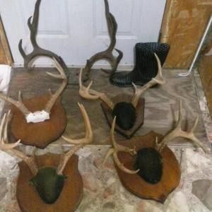 Meet your Posher, Charles